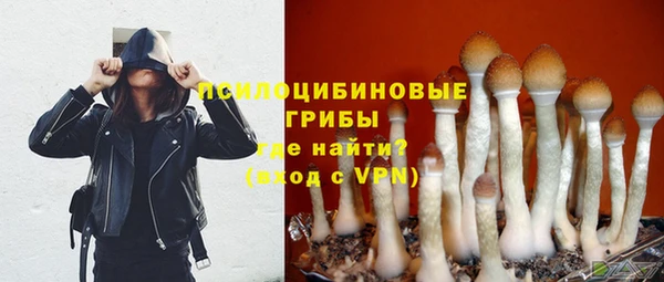 винт Армянск